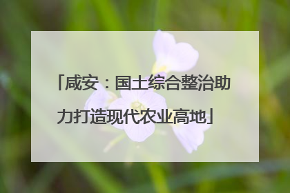 咸安：国土综合整治助力打造现代农业高地
