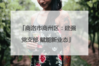 商洛市商州区：建强党支部 赋能新业态