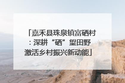 嘉禾县珠泉镇富硒村：深耕“硒”望田野 激活乡村振兴新动能