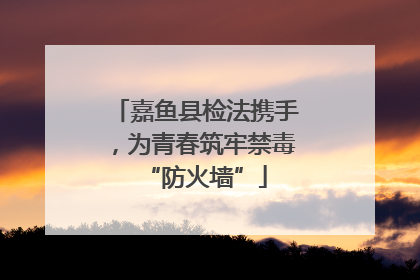 嘉鱼县检法携手，为青春筑牢禁毒“防火墙”