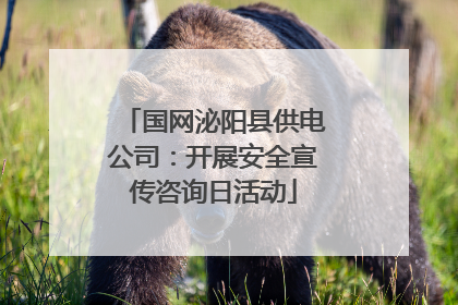 国网泌阳县供电公司：开展安全宣传咨询日活动