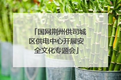 国网荆州供司城区供电中心开展安全文化专题会
