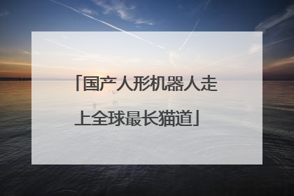 国产人形机器人走上全球最长猫道