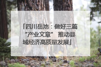 四川岳池：做好三篇“产业文章” 推动县域经济高质量发展