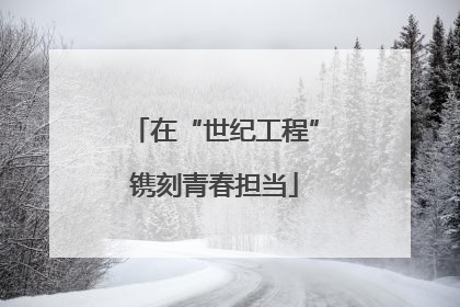 在“世纪工程”镌刻青春担当