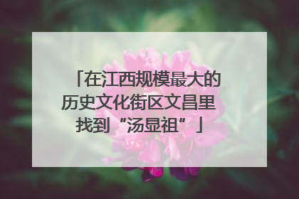 在江西规模最大的历史文化街区文昌里找到“汤显祖”