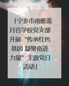 宁乡市南雅蓝月谷学校党支部开展“传承红色基因 凝聚奋进力量”主题党日活动