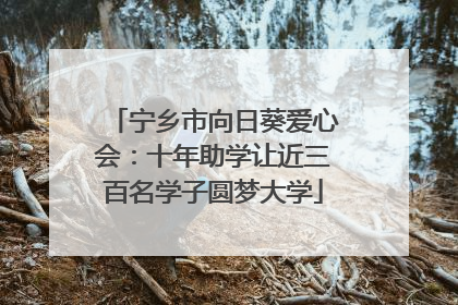 宁乡市向日葵爱心会：十年助学让近三百名学子圆梦大学
