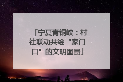 宁夏青铜峡：村社联动共绘“家门口”的文明图景