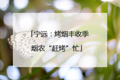 宁远：烤烟丰收季 烟农“赶烤”忙