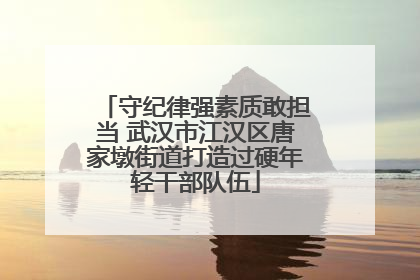 守纪律强素质敢担当 武汉市江汉区唐家墩街道打造过硬年轻干部队伍
