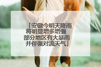 安徽今明天降雨将明显增多增强 部分地区有大暴雨并伴强对流天气