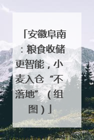 安徽阜南：粮食收储更智能，小麦入仓“不落地”（组图）