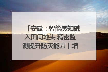 安徽：智能感知融入田间地头 精密监测提升防灾能力｜增发国债气象项目落地见效系列报道