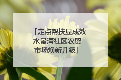 定点帮扶显成效 水景湾社区农贸市场焕新升级