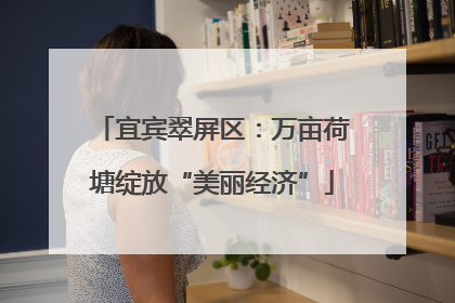 宜宾翠屏区：万亩荷塘绽放“美丽经济”