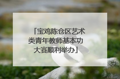 宝鸡陈仓区艺术类青年教师基本功大赛顺利举办