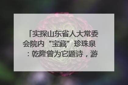 实探山东省人大常委会院内“宝藏”珍珠泉：乾隆曾为它题诗，游客无需预约免费游览