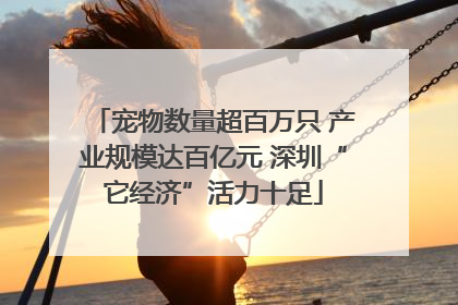 宠物数量超百万只 产业规模达百亿元 深圳“它经济”活力十足