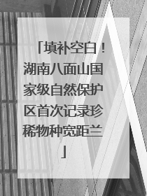 填补空白！湖南八面山国家级自然保护区首次记录珍稀物种宽距兰