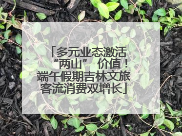多元业态激活 “两山” 价值！端午假期吉林文旅客流消费双增长