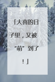 大喜的日子里，又被“萌”到了！