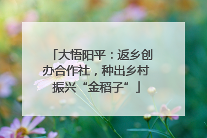 大悟阳平：返乡创办合作社，种出乡村振兴“金稻子”