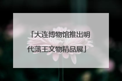 大连博物馆推出明代藩王文物精品展
