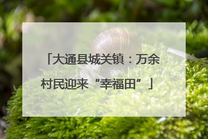 大通县城关镇：万余村民迎来“幸福田”