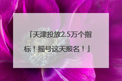 天津投放2.5万个指标！摇号这天报名！