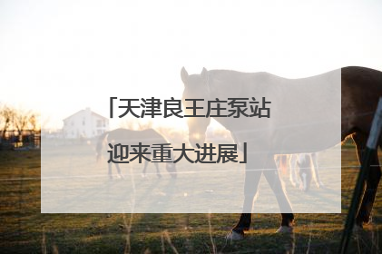 天津良王庄泵站迎来重大进展