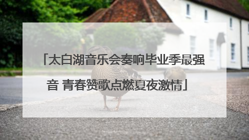 太白湖音乐会奏响毕业季最强音 青春赞歌点燃夏夜激情