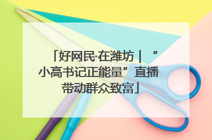 好网民·在潍坊｜“小高书记正能量”直播 带动群众致富