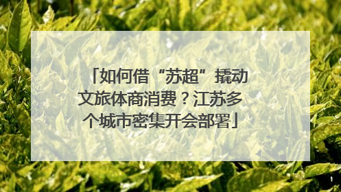 如何借“苏超”撬动文旅体商消费？江苏多个城市密集开会部署