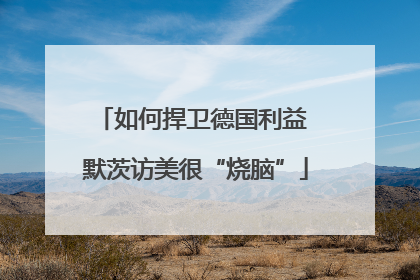 如何捍卫德国利益 默茨访美很“烧脑”