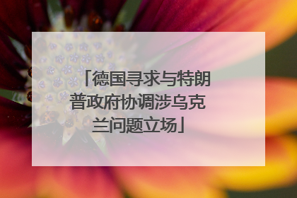 德国寻求与特朗普政府协调涉乌克兰问题立场
