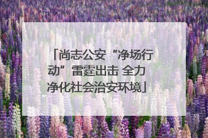 尚志公安“净场行动”雷霆出击 全力净化社会治安环境