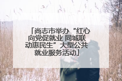 尚志市举办“红心向党促就业 同城联动惠民生”大型公共就业服务活动