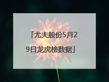 尤夫股份5月29日龙虎榜数据