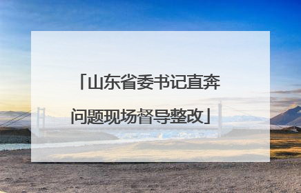 山东省委书记直奔问题现场督导整改