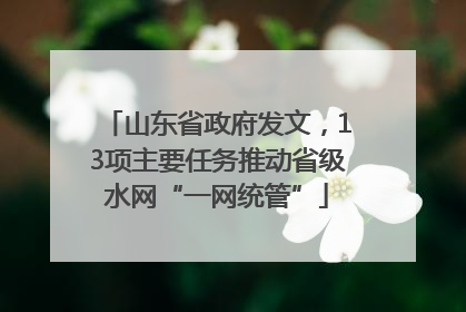山东省政府发文，13项主要任务推动省级水网“一网统管”