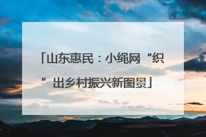 山东惠民：小绳网“织”出乡村振兴新图景