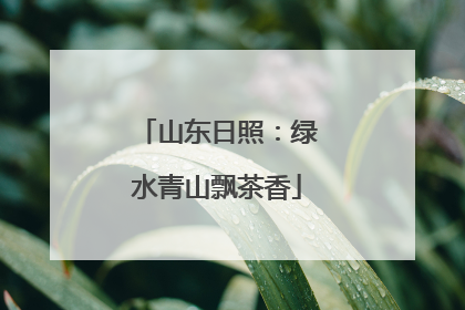 山东日照：绿水青山飘茶香