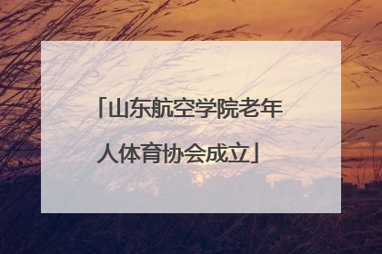 山东航空学院老年人体育协会成立