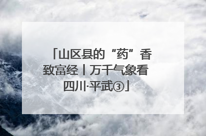 山区县的“药”香致富经丨万千气象看四川·平武③