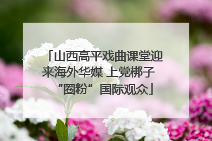 山西高平戏曲课堂迎来海外华媒 上党梆子“圈粉”国际观众