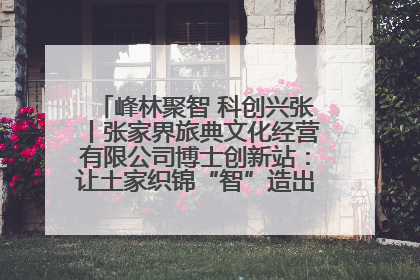 峰林聚智 科创兴张丨张家界旅典文化经营有限公司博士创新站：让土家织锦“智”造出非遗新传奇