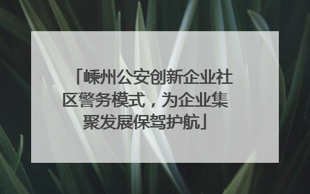 嵊州公安创新企业社区警务模式，为企业集聚发展保驾护航