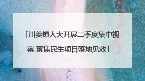 川姜镇人大开展二季度集中视察 聚焦民生项目落地见效