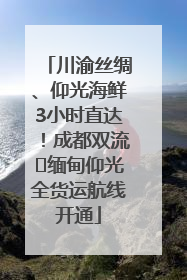 川渝丝绸、仰光海鲜3小时直达！成都双流⇌缅甸仰光全货运航线开通